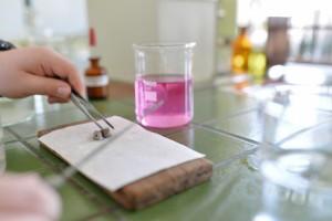 Dan Hemijsko-tehnološke škole Subotica i Dan otvorenih vrata