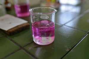 Dan Hemijsko-tehnološke škole Subotica i Dan otvorenih vrata