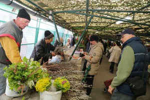 Obilazak Mlečne pijace pred Uskršnje praznike
