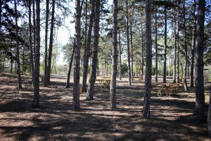 Obilazak obnovljenog i uređenog izletišta "Majdan"