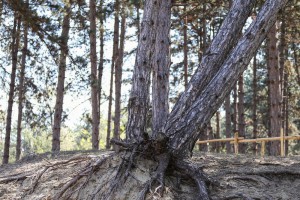 Obilazak obnovljenog i uređenog izletišta "Majdan"