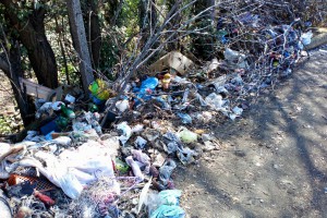 Divlja deponija iza Pionira