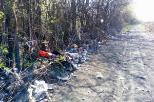 Divlja deponija iza Pionira