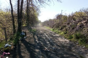 Divlja deponija iza Pionira