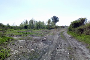 Divlja deponija iza Pionira