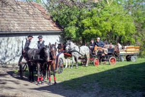 Vodeni ponedeljak u Bajmoku
