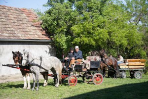 Vodeni ponedeljak u Bajmoku