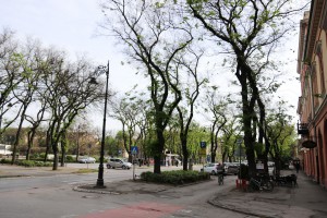 Konferencija za medije Saveza vojvođanskih Mađara