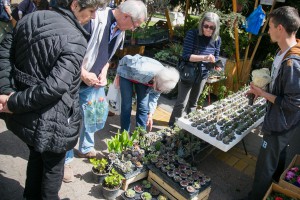 Sajam cveća i sadnica "Garden flora 2019"