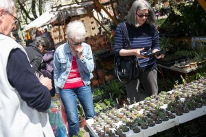 Sajam cveća i sadnica "Garden flora 2019"