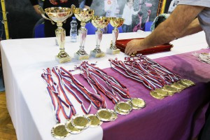 XIV Memorijal "Refik Memišević - Brale" u rvanju za kadete