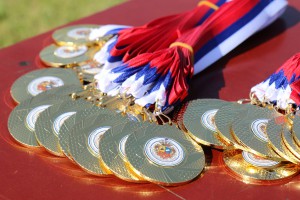 Revijalna utakmica Gradskog fudbalskog saveza, Lokomotiva - selekcija Subotice