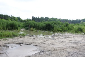 Čišćenje divlje deponije kod Vitoroga