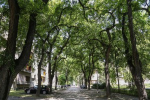 Mesna zajednica "Centar III", popularni "Tokio"