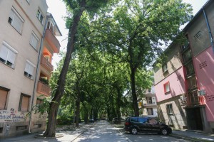 Mesna zajednica "Centar III", popularni "Tokio"