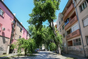 Mesna zajednica "Centar III", popularni "Tokio"