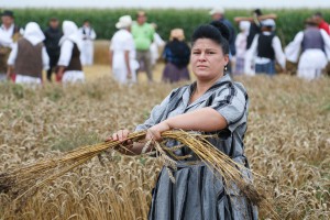 Takmičenje risara u Đurđinu