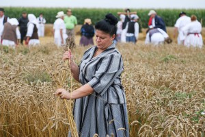 Takmičenje risara u Đurđinu