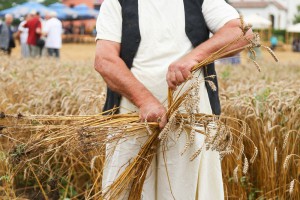Takmičenje risara u Đurđinu