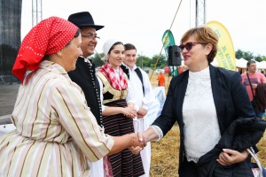 Takmičenje risara u Đurđinu