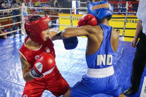 Završni dan 37. Vojvođanske zlatne rukavice