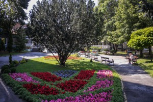 Razgovor sa medicinskim sestrama u Gerontološkom centru