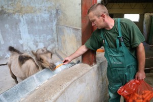 Novi stanovnici ZOO vrta Palić