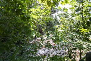 Radovi na raščišćavanju lokacije bivše kasarne "Kosta Nađ"