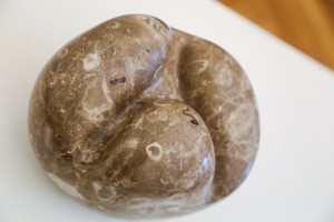 Otvaranje izložbe crnogorskog vajara Matije Radovića "Estetika forme i oblika"