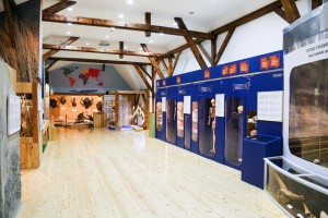 Priroda i čovek – Stalna postavka Prirodnjačkog odeljenja