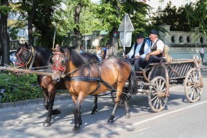Dužijanca 2019 - Centralna proslava