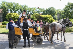 Dužijanca 2019 - Centralna proslava