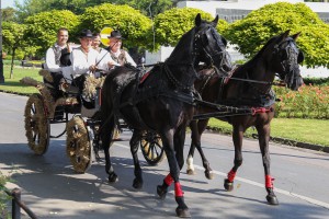 Dužijanca 2019 - Centralna proslava