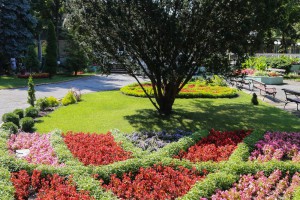 Poseta predstavnika iz Kancelarije Ujedinjenih nacija, sektor ljudska prava