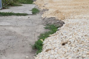 Razgovor sa stanovnicima Oromske ulice