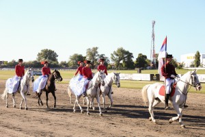 Konjičke trke - 92. Srpski kasački derbi