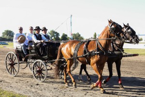 Konjičke trke - 92. Srpski kasački derbi