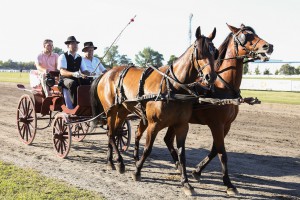 Konjičke trke - 92. Srpski kasački derbi