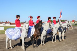Konjičke trke - 92. Srpski kasački derbi