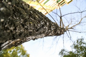 Komunalni problemi u ulici Osmog marta