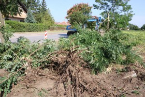 Оbeležavanje početka radova i obilazak gradilišta biciklističke staze