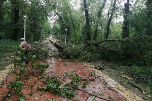 Posledice nevremena u Subotici i na Paliću
