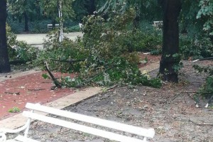 Posledice nevremena u Subotici i na Paliću