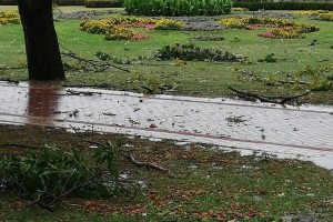 Posledice nevremena u Subotici i na Paliću