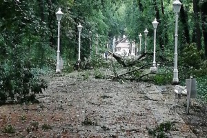 Posledice nevremena u Subotici i na Paliću