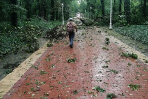 Posledice nevremena u Subotici i na Paliću