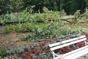 Posledice nevremena u Subotici i na Paliću