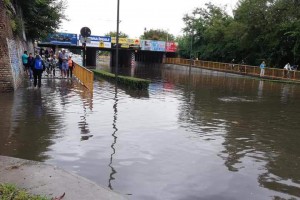 Posledice nevremena u Subotici i na Paliću