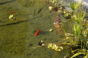 Svečanost dodele stipendija studentima Visoke tehničke škole strukovnih studija