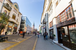 Prodavnica kožne galanterije "Fox"